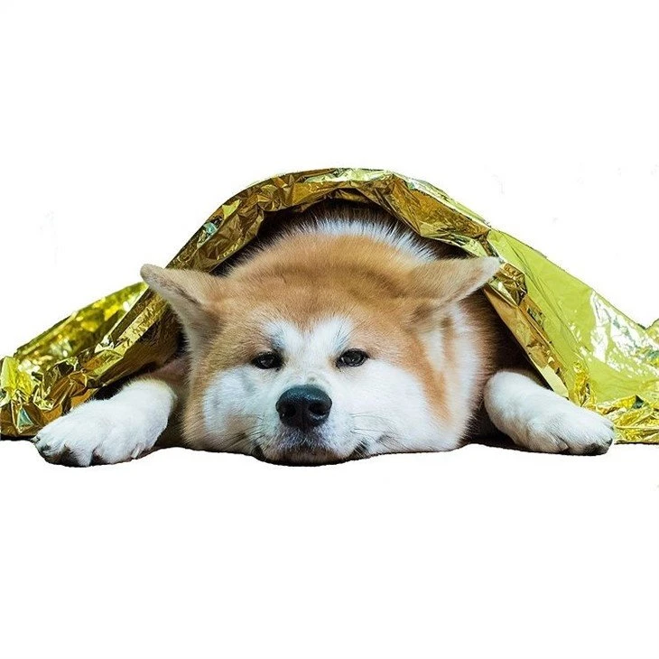 China Sleeping Bag wholesale